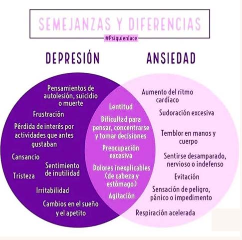 formato-imagenes-centromultidisciplinario-9